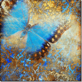 Бабочка и золото на голубом