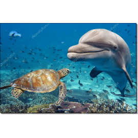 Дельфин и черепаха. Сток