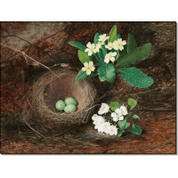 Гнездо дрозда, первоцветы и цветущая груша. Гримшоу, Джон Аткинсон