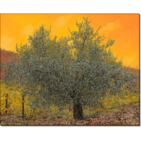 Оливковое дерево среди виноградников. Борелли, Гвидо (20 век)