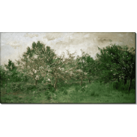 Луг с цветущими фруктовыми деревьями. Добиньи, Шарль-Франсуа