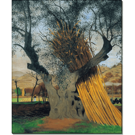 Старое оливковое дерево. Валлоттон, Феликс 