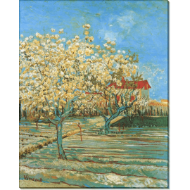 Фруктовый сад в цвету (Orchard in Blossom), 1888 02. Гог, Винсент ван