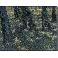 Стволы деревьев с плющом (Undergrowth), 1889. Гог, Винсент ван