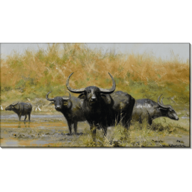 Азиатские буйволы. Шеперд, Девид (20 век)