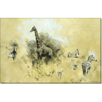Зебры и жираф. Шеперд, Девид (20 век)