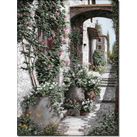 Плетистые розы. Борелли, Гвидо (20 век)