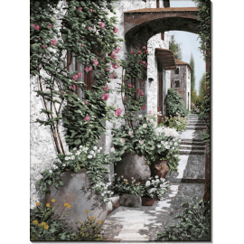 Плетистые розы. Борелли, Гвидо (20 век)