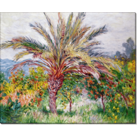 Картина «Пальма в Бордигере». Моне, Клод