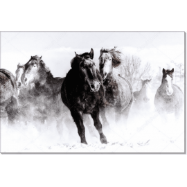 Бегущие лошади в снежной пыли