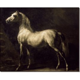 Белая лошадь. Жерико, Теодор Жан Луи Андре