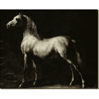 Пятнистая серая лошадь. Жерико, Теодор Жан Луи Андре