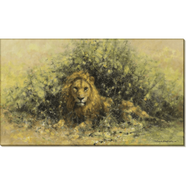 Лев в кустах. Шеперд, Девид (20 век)