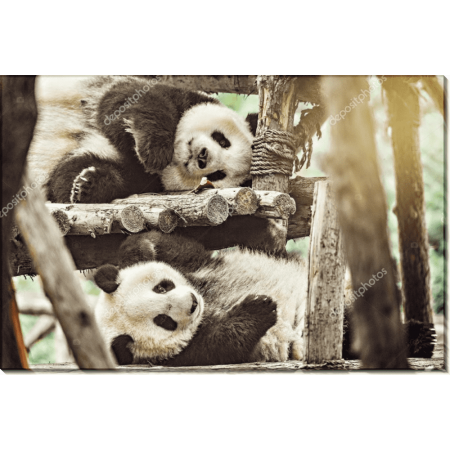 Отдых перед обедом 