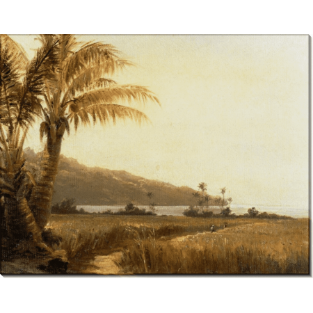 Картина «Пальмы у моря». Писсарро, Камиль 