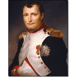 Портрет Наполеона. Давид, Жак-Луи