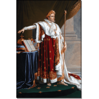 Наполеон I в коронационной одежде. Жироде-Триозон, Анн-Луи