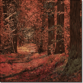 Осень в лесу. Борелли, Гвидо (20 век)