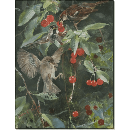 Картина «Воробьи на вишневых ветках». Лильефорс, Бруно 