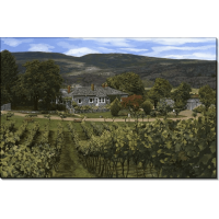 Виноградники Хауторн, Канада. Борелли, Гвидо (20 век)