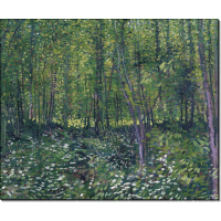 Деревья и подлесок (Trees and Undergrowth), 1887 лето. Гог, Винсент ван