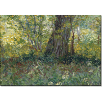 Подлесок (Undergrowth), 1887. Гог, Винсент ван