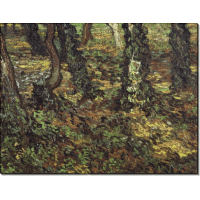 Подлесок и плющ (Tree Trunks with Ivy), 1889. Гог, Винсент ван
