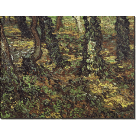 Подлесок и плющ (Tree Trunks with Ivy), 1889. Гог, Винсент ван 