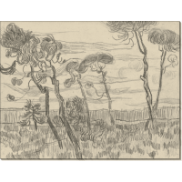 Шесть сосен у ограды (Six Pines near the Enclosure Wall), 1889. Гог, Винсент ван