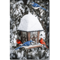 Птичья кормушка в снегу