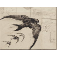 Четыре стрижа с пейзажными зарисовками (Four Swifts with Landscape Sketches), 1887. Гог, Винсент ван