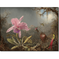 Картина Орхидея Каттлея и три колибри. Хед, Мартин Джонсон