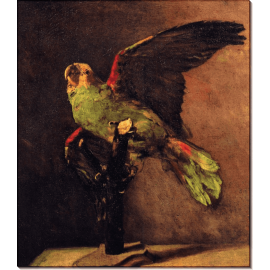 Зеленый попугай (The Green Parrot), 1886. Гог, Винсент ван