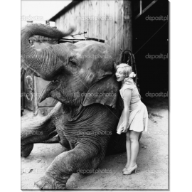 Девушка и слон. Сток