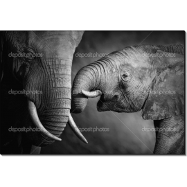 Слоненок с мамой. Сток