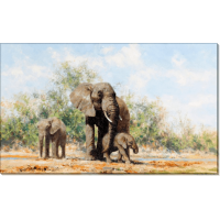 Слон и слонята. Шеперд, Девид (20 век)