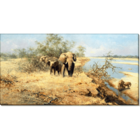 Слоны в кустах, долина Луангва. Шеперд, Девид (20 век)