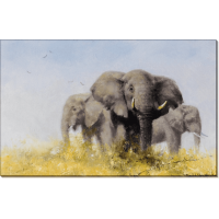 Три африканских слона. Шеперд, Девид (20 век)