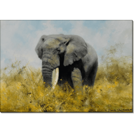 Африканский слон. Шеперд, Девид (20 век)