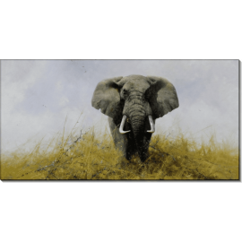 Слон в степи. Шеперд, Девид (20 век)