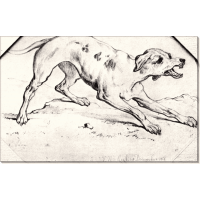 Пес (Dog), 1862. Гог, Винсент ван