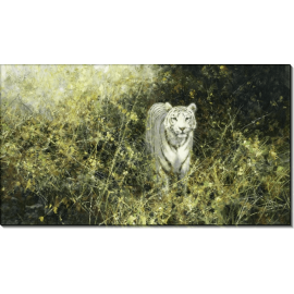 Белый тигр Ревы. Шеперд, Девид (20 век)