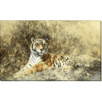 Тигр из Рантхамбора. Шеперд, Девид (20 век)