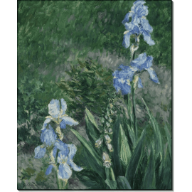 Голубые ирисы в саду Пти-Женвильер. Кайботт, Густав