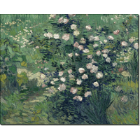 Розовый куст в цвету (Rosebush in Blossom), 1889. Гог, Винсент ван
