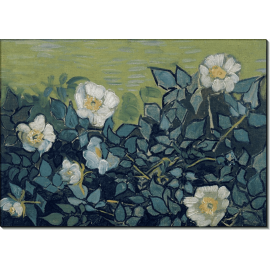 Дикие розы, 1890. Гог, Винсент ван