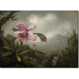 Картина Орхидея и колибри у водопада. Хед, Мартин Джонсон