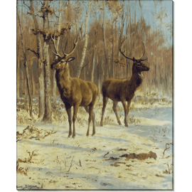 Два оленя на опушке зимнего леса. Бонёр, Роза