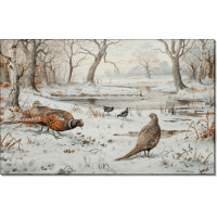 Фазаны и камышницы на снегу. Доннер, Карл (20 век)