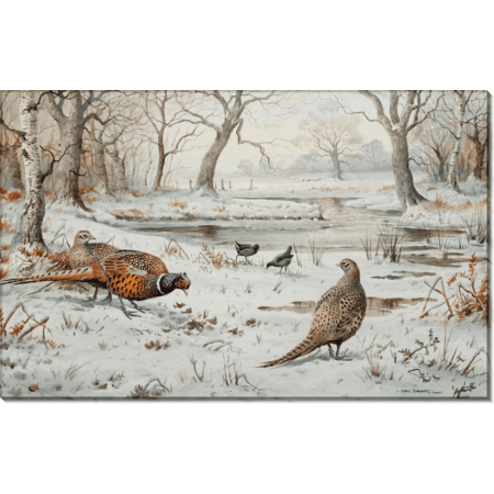 Фазаны и камышницы на снегу. Доннер, Карл (20 век) 